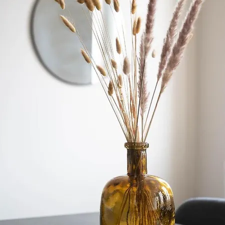 Yang - Calme Moderne Spacieux Et Tout Equipe Apartment Toulouse
